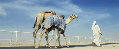 Top 4 Places To Visit In Al Shahaniya Qatar For An Offbeat Holiday