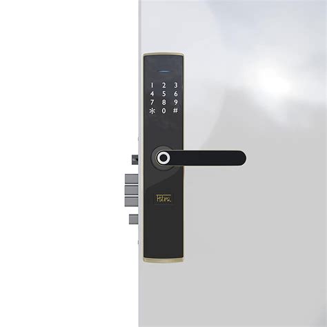 Pehra Sinew Zinc Alloy 4 Way Unlock Biometric Fingerprint Access, RFID ...
