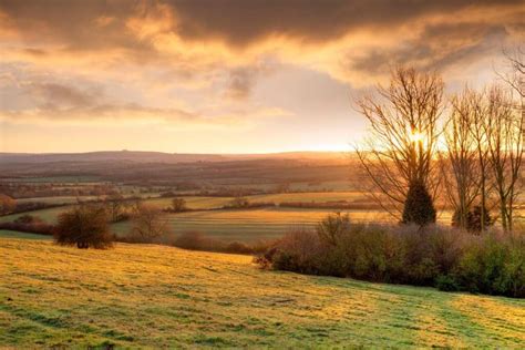 England 的图像结果