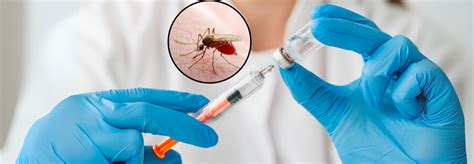 Oxford Researchers Develop 'One-Dose' Malaria Vaccine; Could It ...