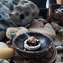 Image result for burn incense 焚香