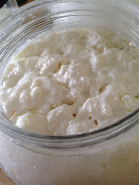 Kefir Grains Whole Foods at Roxanne Corley blog