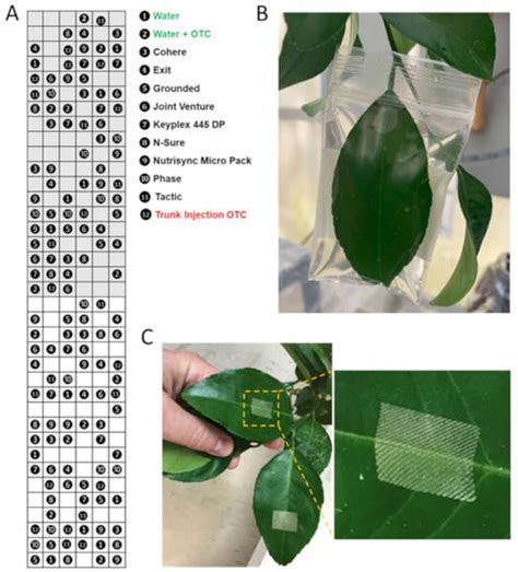 Effect of Adjuvants on Oxytetracycline Uptake upon Foliar Application ...