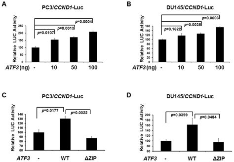 IJMS | Special Issue : Signalling Molecules and Signal Transduction in ...