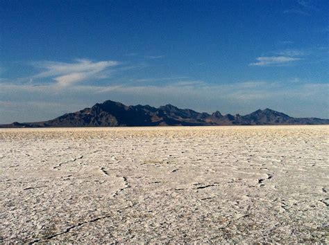 Cactus and Yucca Rebel: The Great Salt Lake Desert