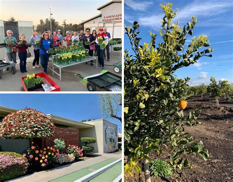 Categories of Individual Membership | Tulare County Farm Bureau