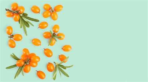 Ingredient In Focus: Sea Buckthorn For Skin – Quench