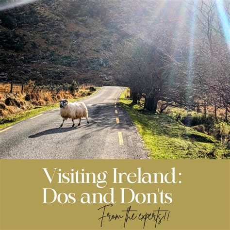 50 Easy Irish Phrases and Funny Irish Slang Words