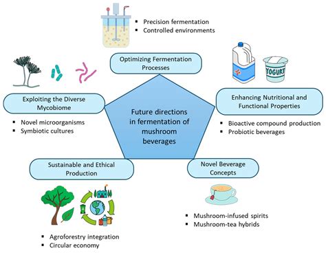 Performance of Mushrooms in Fermented Beverages: A Narrative Review