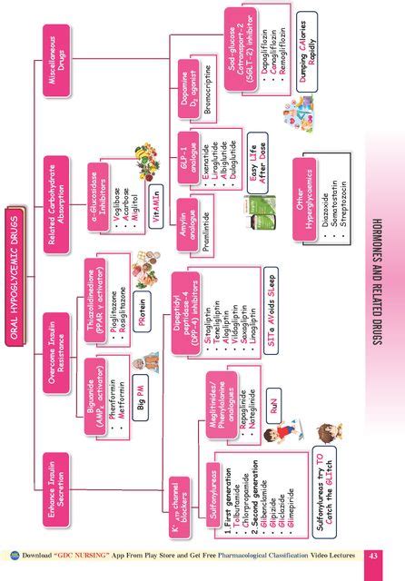 PHARMACOLOGY KUNDALI - Drug Classification Simplified (For NURSING ...