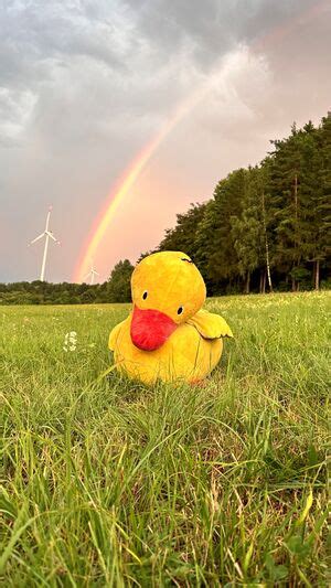 Die Geschichte der Ente – ZaPFWiki