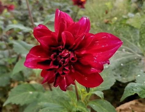 Baiyun Mountain (Guangzhou) - 2021 What to Know Before You Go (with ...