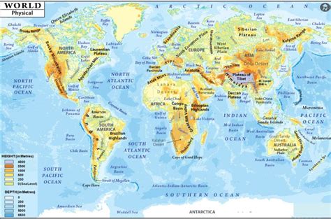 Physical Map 的图像结果