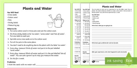 Plants and Water Worksheets - Watering Plants Activity