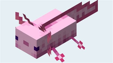 Image result for Minecraft Axolotl Farm Tutorial