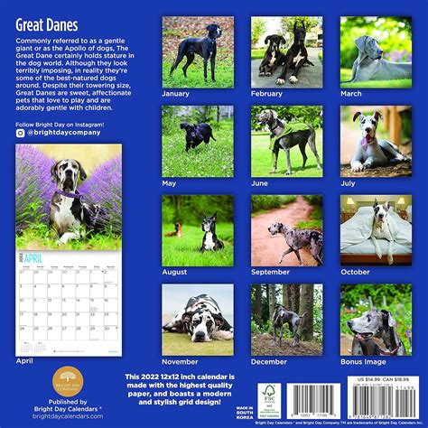 2022 Great Danes Wall Calendar by Bright Day, 12 x 12 Inch, Cute Dog ...