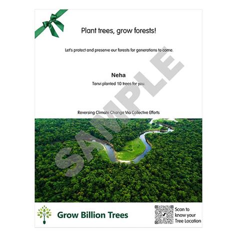 Plant Trees for Forest Restoration - Reforestation Initiative – Grow ...