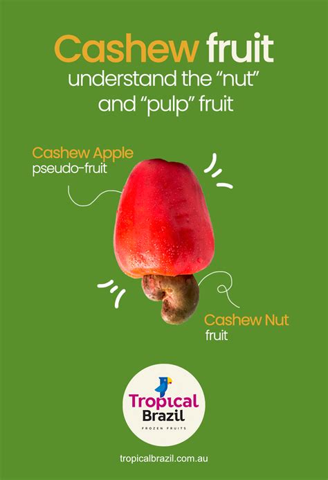 Cashew Fruit Juice Benefits at George Bousquet blog