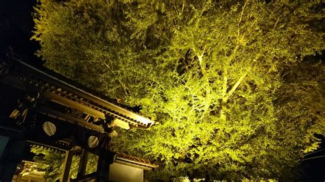 Image result for Ani Algorithm