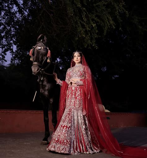 AMARNATH RED ZIRCON FISH CUT LEHENGA