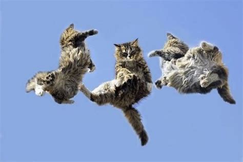 Image result for Break System Java