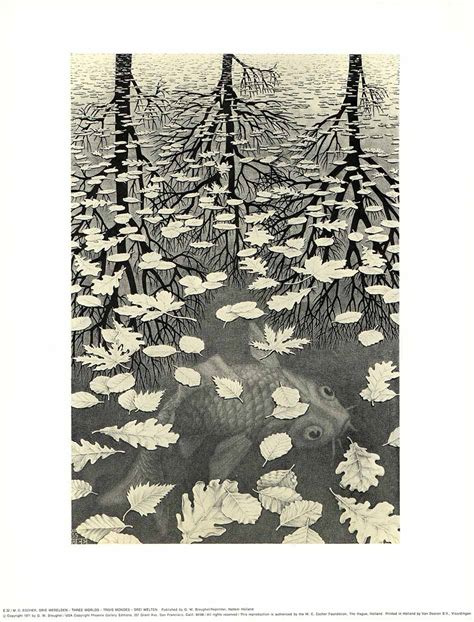 Three Worlds, 1955 by M. C. Escher - 14 X 17 Inches (Art Print ...