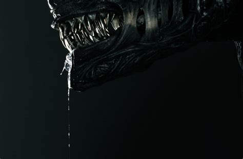 The official Alien: Romulus movie poster has been revealed!