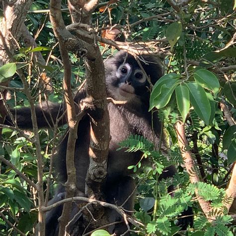 Speed Boat Tour of Ang Thong Marine Park with Snorkels/Kayaks 2021 - Ko ...