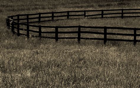 art photography sale