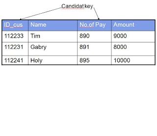 Image result for Contoh Candidate Key