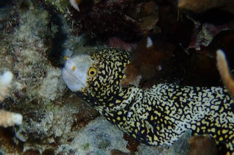 Guam Images - Vacation Pictures of Guam, Mariana Islands - Tripadvisor