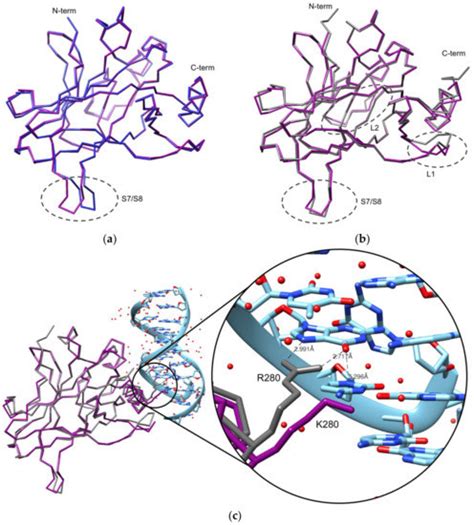 The Crystal Structure of the R280K Mutant of Human p53 Explains the ...