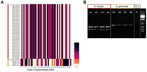 Identification of Key Genes for the Precise Classification between ...