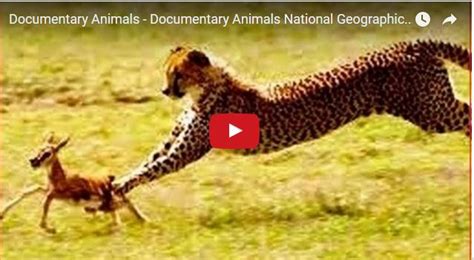 Image result for Alien Animal Documentary