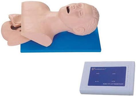 GHDE&MD Intubation Manikin PVC Intubation Training India | Ubuy
