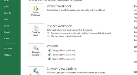 Image result for Excel File Options