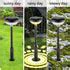 Solar Power Lights for Outside : Radiant Garden Light Decoration – HOMEHOP®
