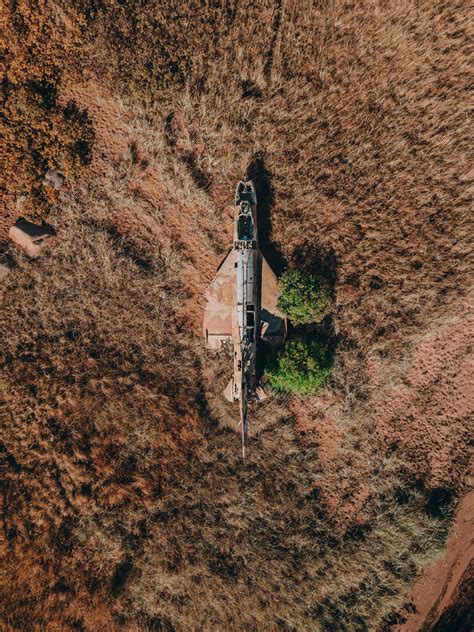 Alien Gun Side View 的图像结果