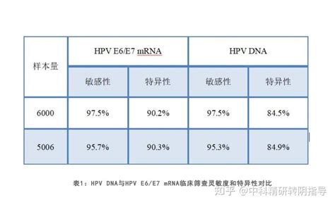 Open E7e File 的图像结果