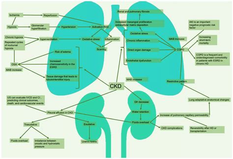 Advanced lung cancer inflammation index linked to mortality in ...