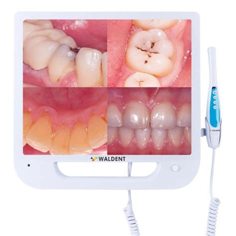 Waldent Products Online, Waldent Dental Equipment & Supplies