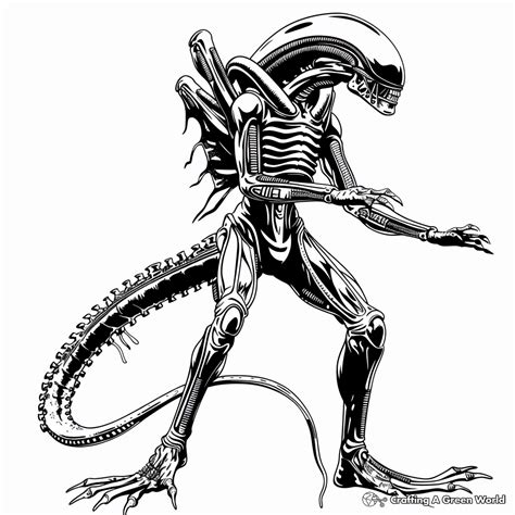 Image result for Alien vs Predator Coloring Pages
