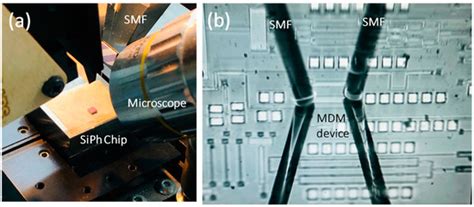 Sensors | Special Issue : Silicon Photonics: A Theme Issue in Honor of ...