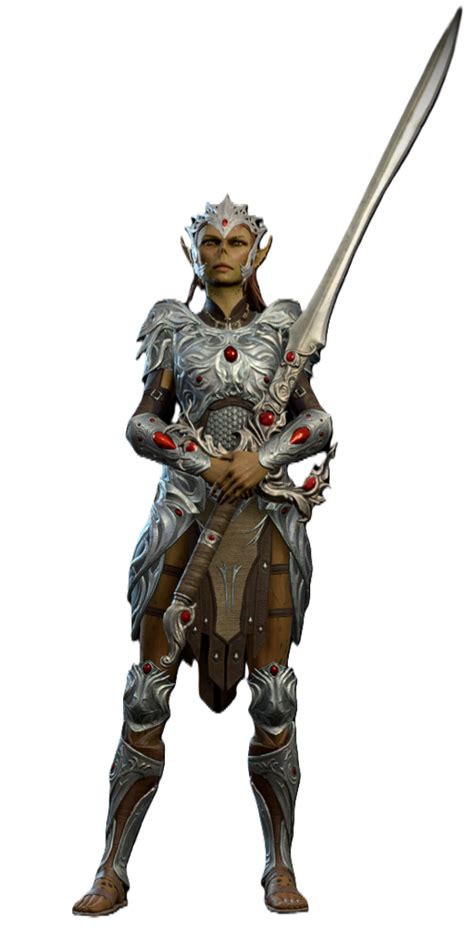 Veteran Warrior - bg3.wiki
