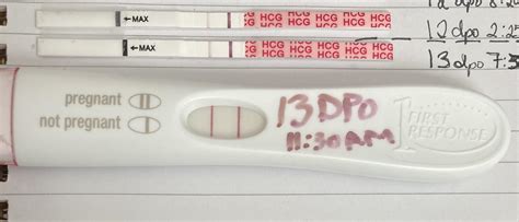 wondfo vs FRER 13 dpo. Hoping this baby will be healthy and make it ...
