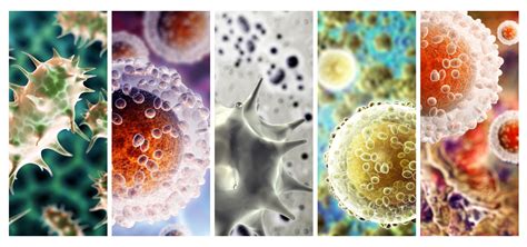 Image result for Pathogen Explanation