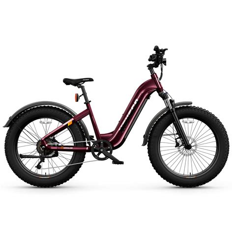 What Is The CC Fat Full Suspension Fat Tire E-Bike? - HOVSCO