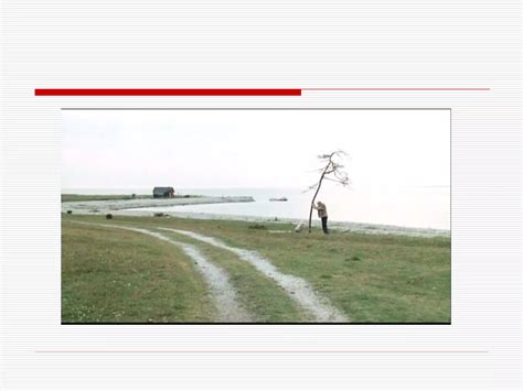 Image result for Prefrontal Cortex Basic Diagram