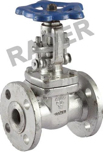 SS Gate Valve - Screwed End SS Gate Valve Manufacturer from Ahmedabad