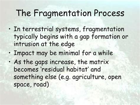 Image result for How Fragmentation Works